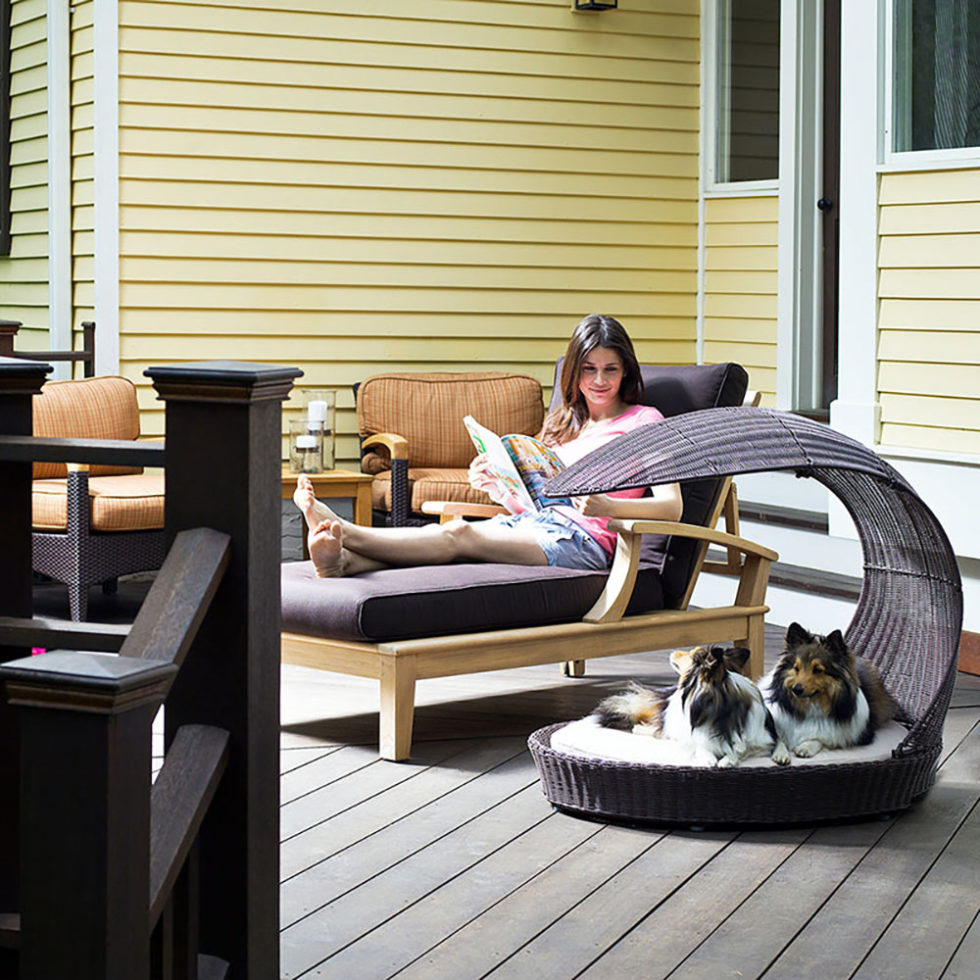 Outdoor Dog Chaise Lounger The Refined Canine